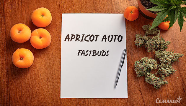 Гроурепорт сорта Apricot Auto fem от FastBuds