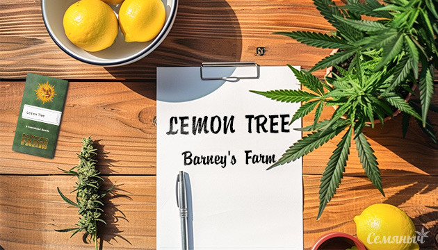 Гроурепорт сорта Lemon Tree fem от Barney's Farm
