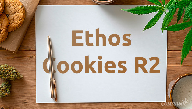 Гроурепорт сорта Ethos Cookies R2 от Ethos Genetics